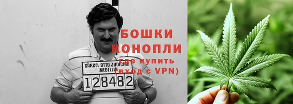 эйфоретик Белоозёрский