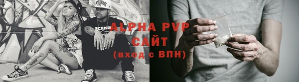 эйфоретик Беломорск
