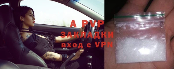 твердый Богданович