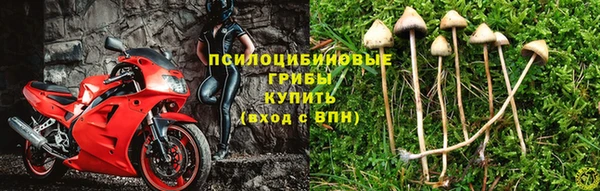 прущий лед Белокуриха
