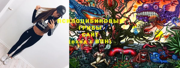 эйфоретик Беломорск